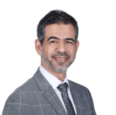 Ali Abdelmaboud Hassan Ali